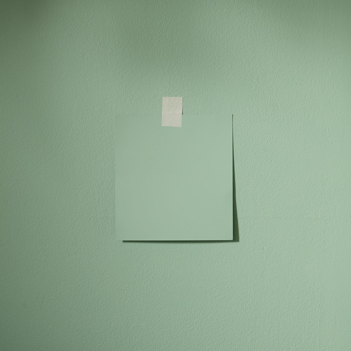 Little Sprout - Eggshell No. 17