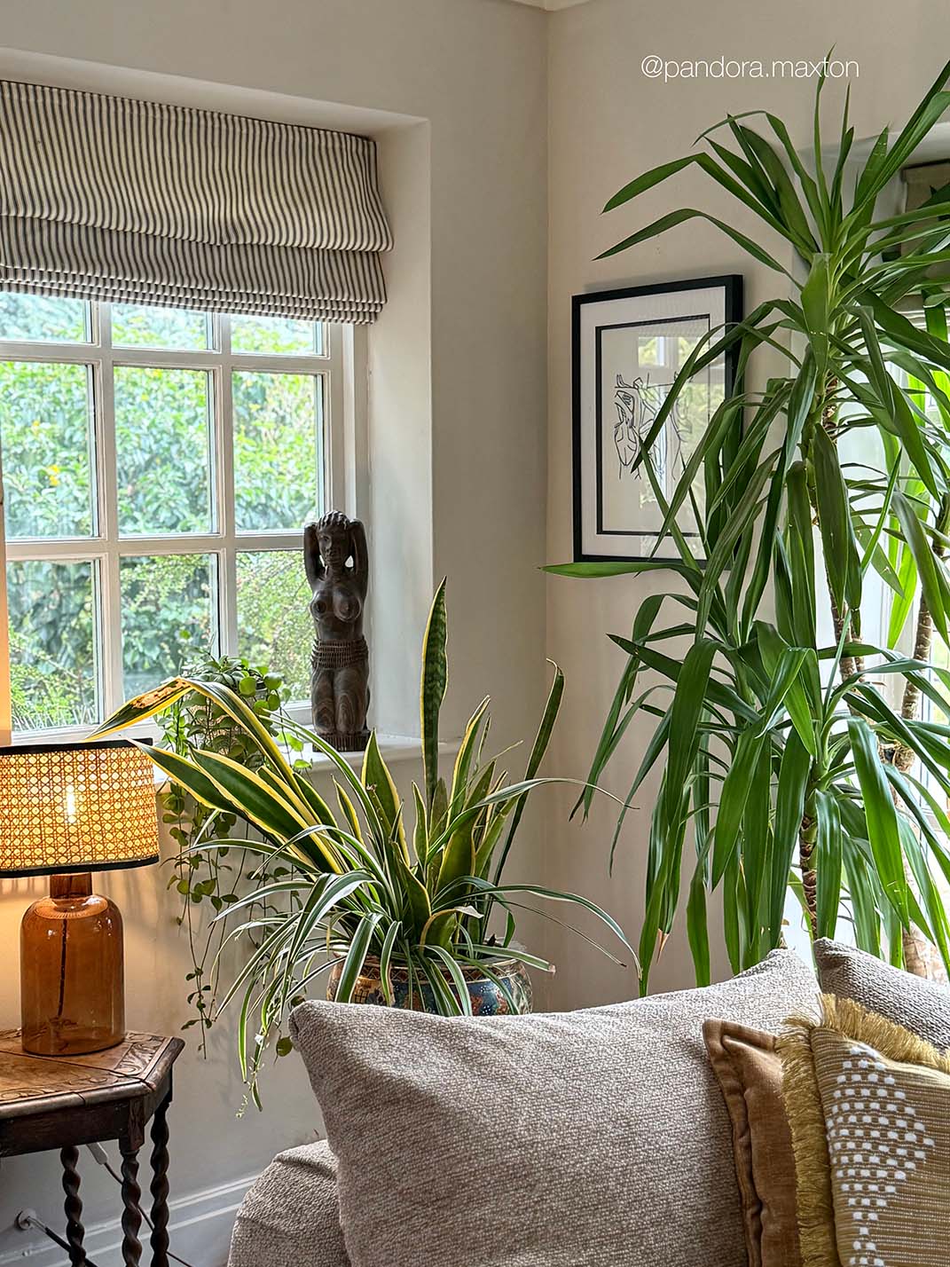 A cozy, sunlit living room corner featuring a tall green houseplant, a smaller potted spider plant, a striped window blind, a lit amber table lamp, and neutral-toned cushions on a sofa.