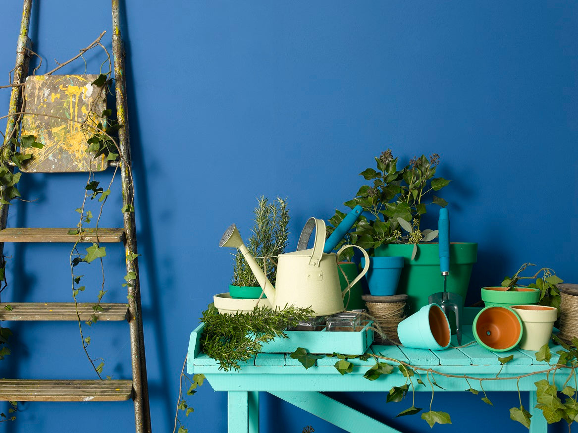 The Lido - Lifestyle