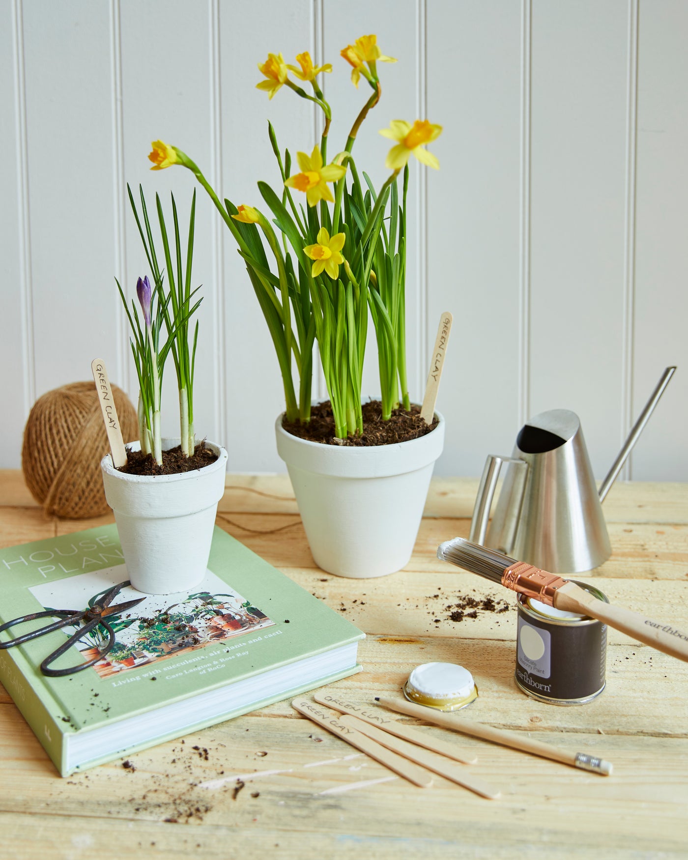 White Clay - Lifestyle