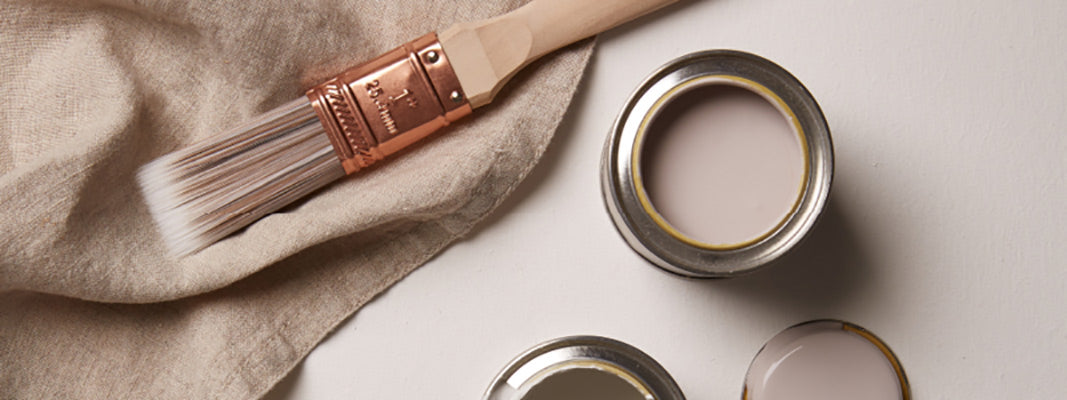 Paw Print mood board