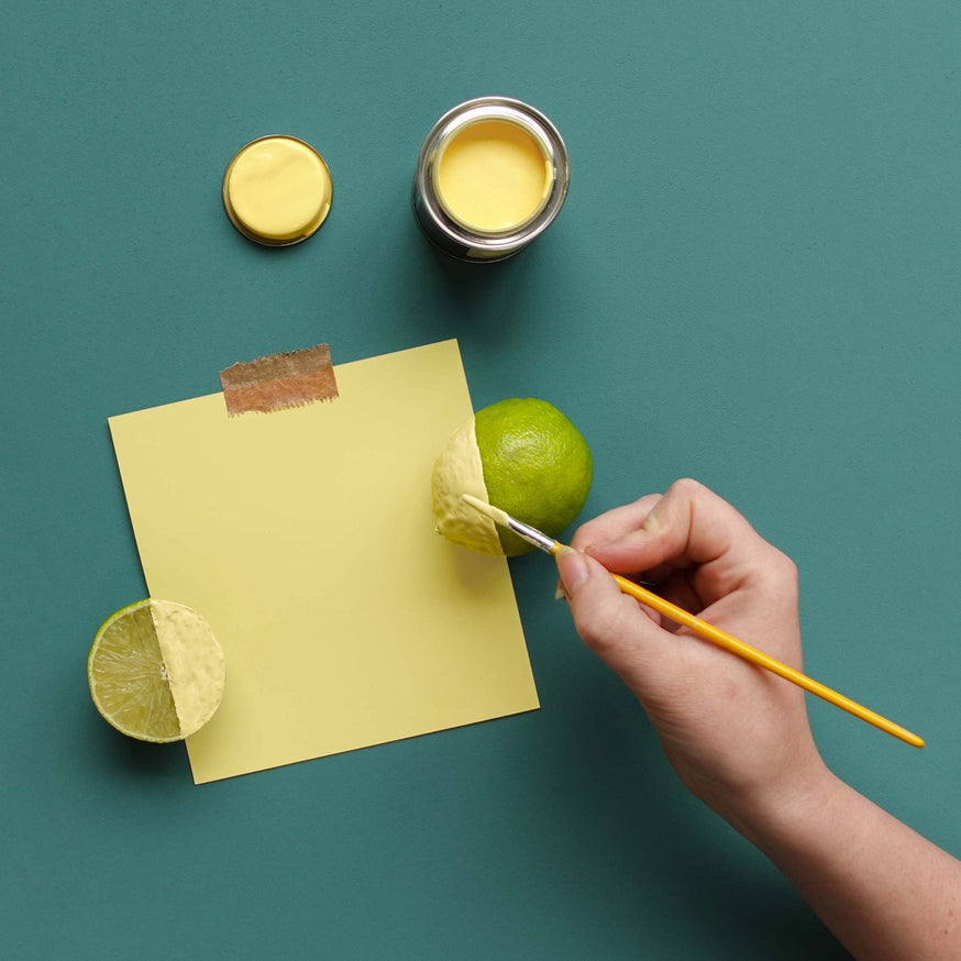 Hobgoblin and Daisy Chain Swatch flat lay|||