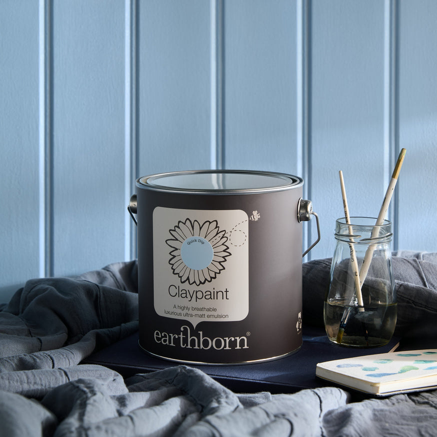 All about Earthborn Claypaint