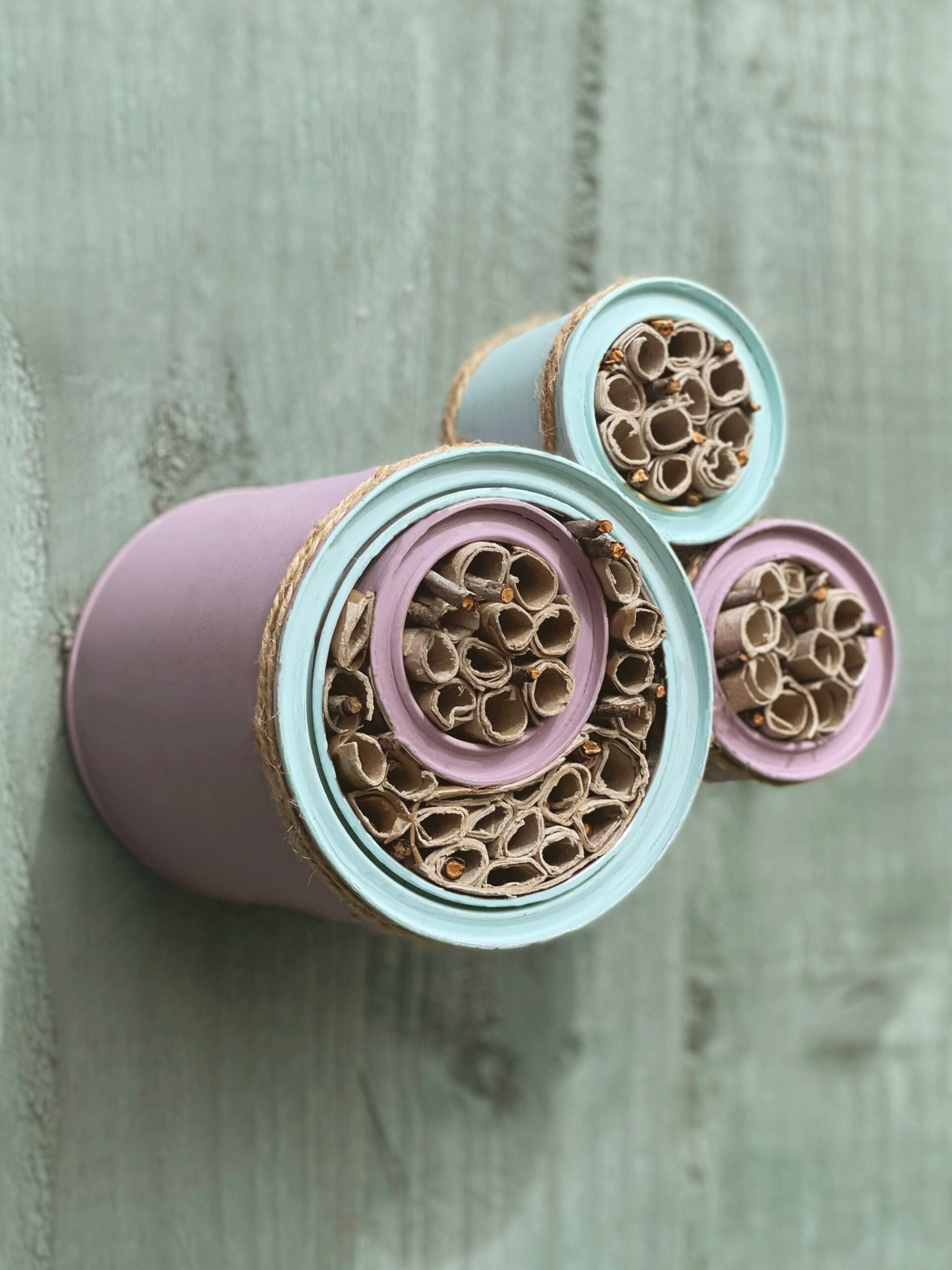 DIY Bee House|Bee in white flowers.|Bumble Bee in a pink flower.|Eco Chic and sample pots.|DIY Bee hotel process.|Bee homes outside display.|Paint tins upcycled into bee homes.