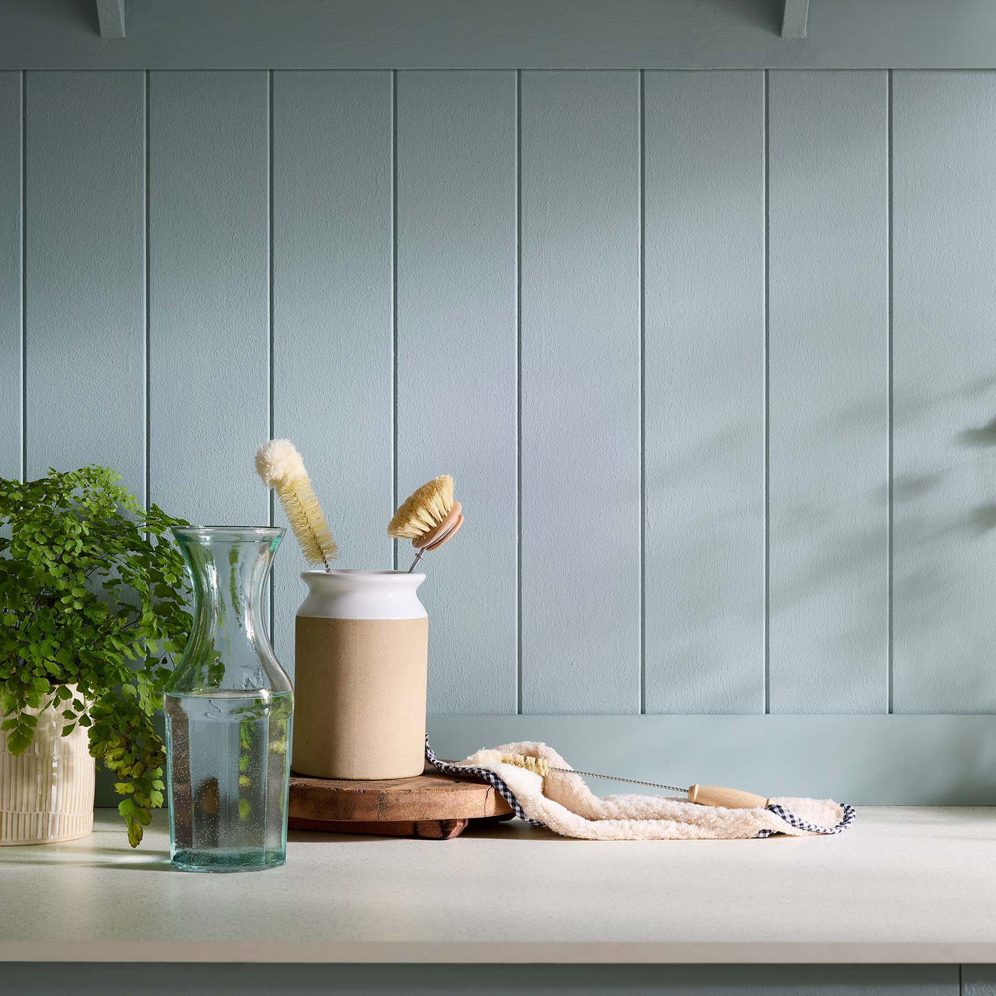 Kitchen counter with cleaning tools and a plant against a light blue wall.