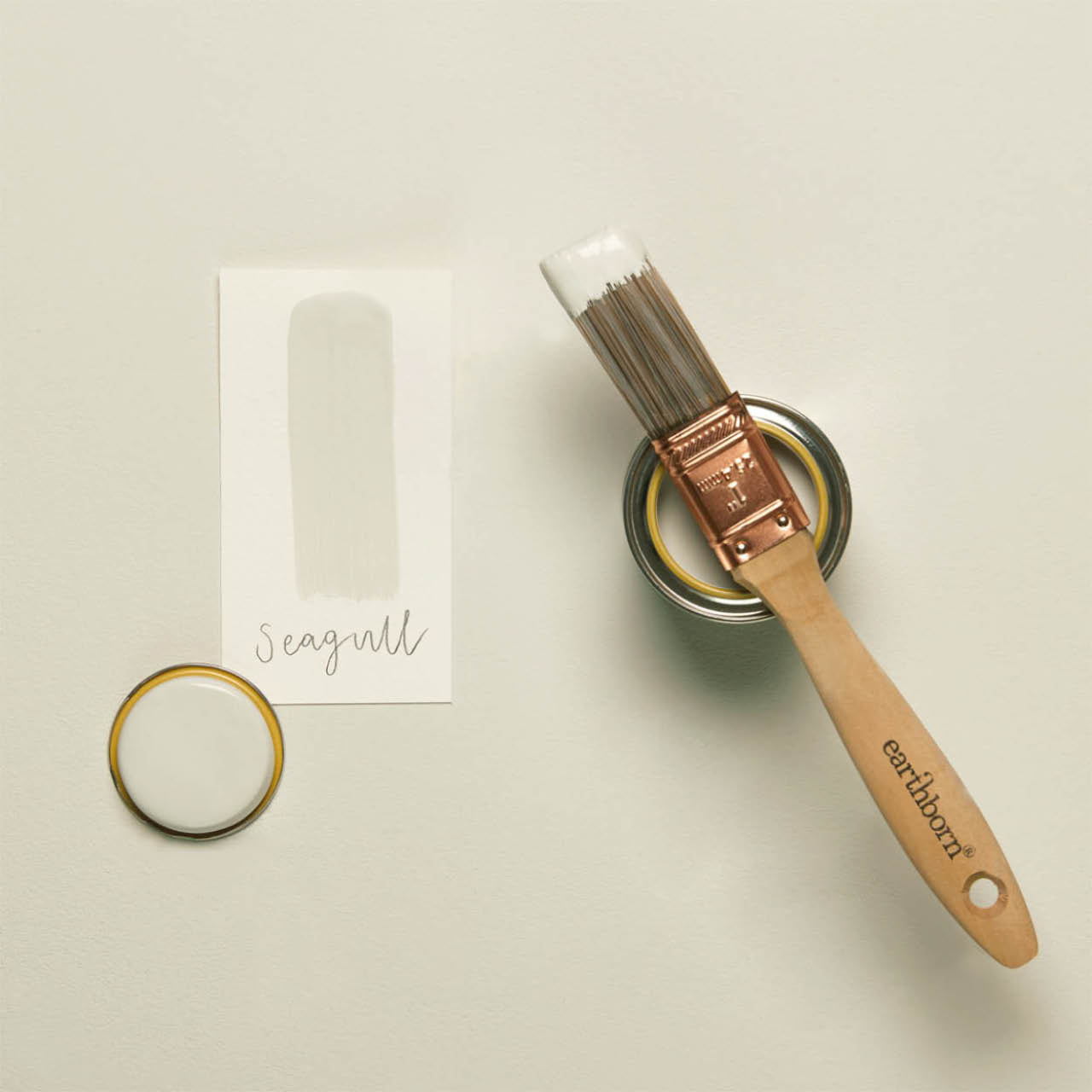 Seagull - Eggshell No. 17