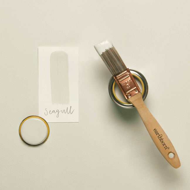 Seagull - Eggshell No. 17