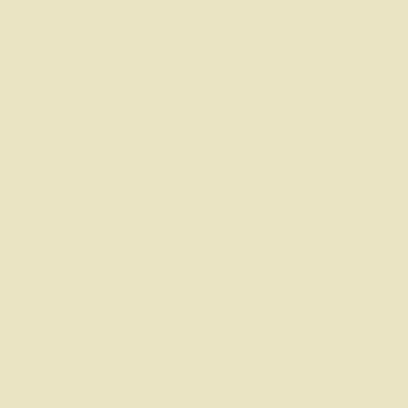 Bee Unique - Eggshell No. 17 - E16, 2.5L