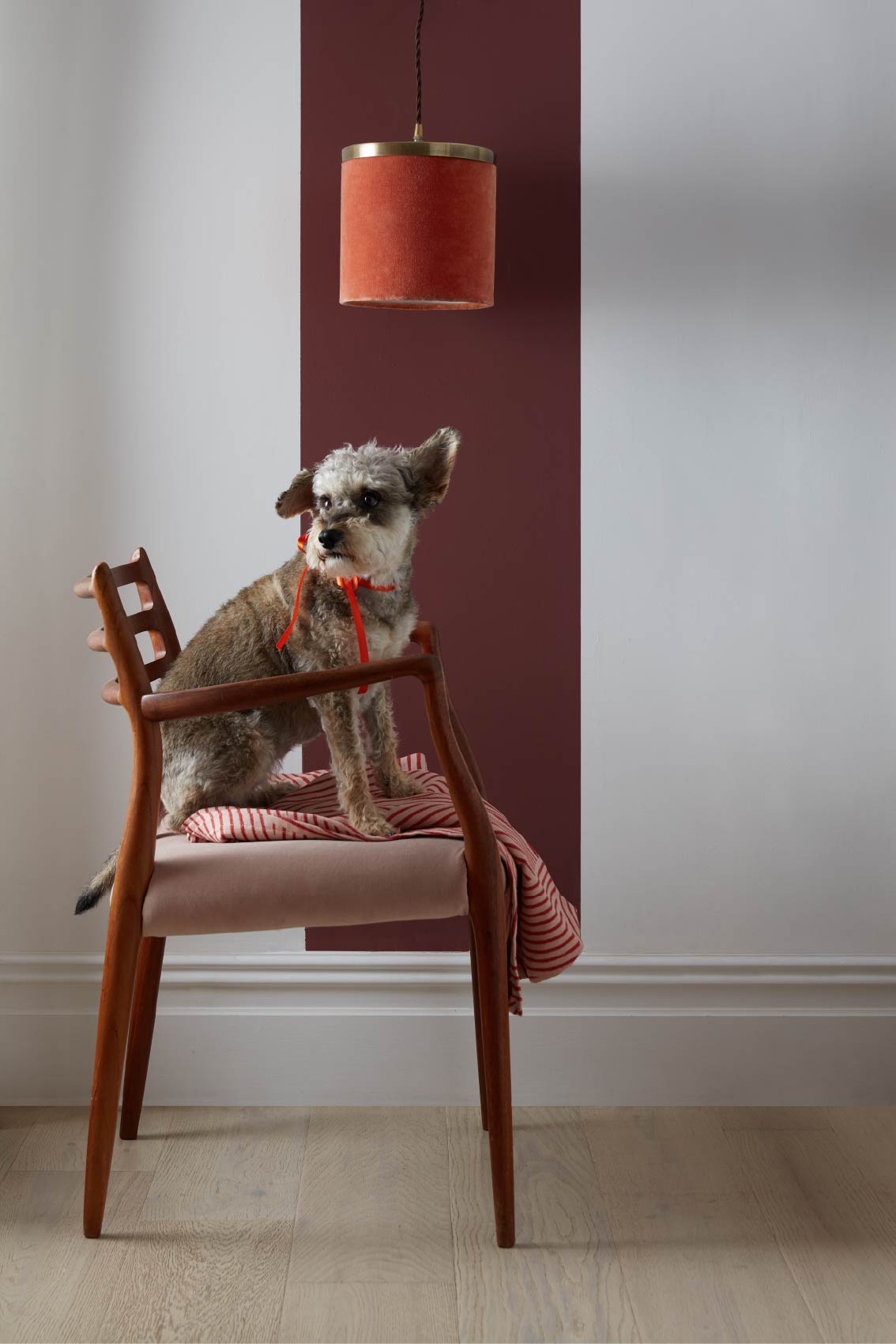 Lady Bug - Lifestyle