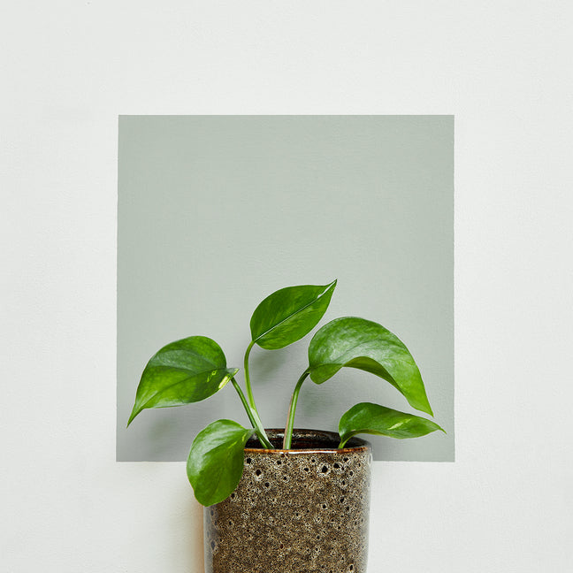 Grassy - Eggshell No. 17