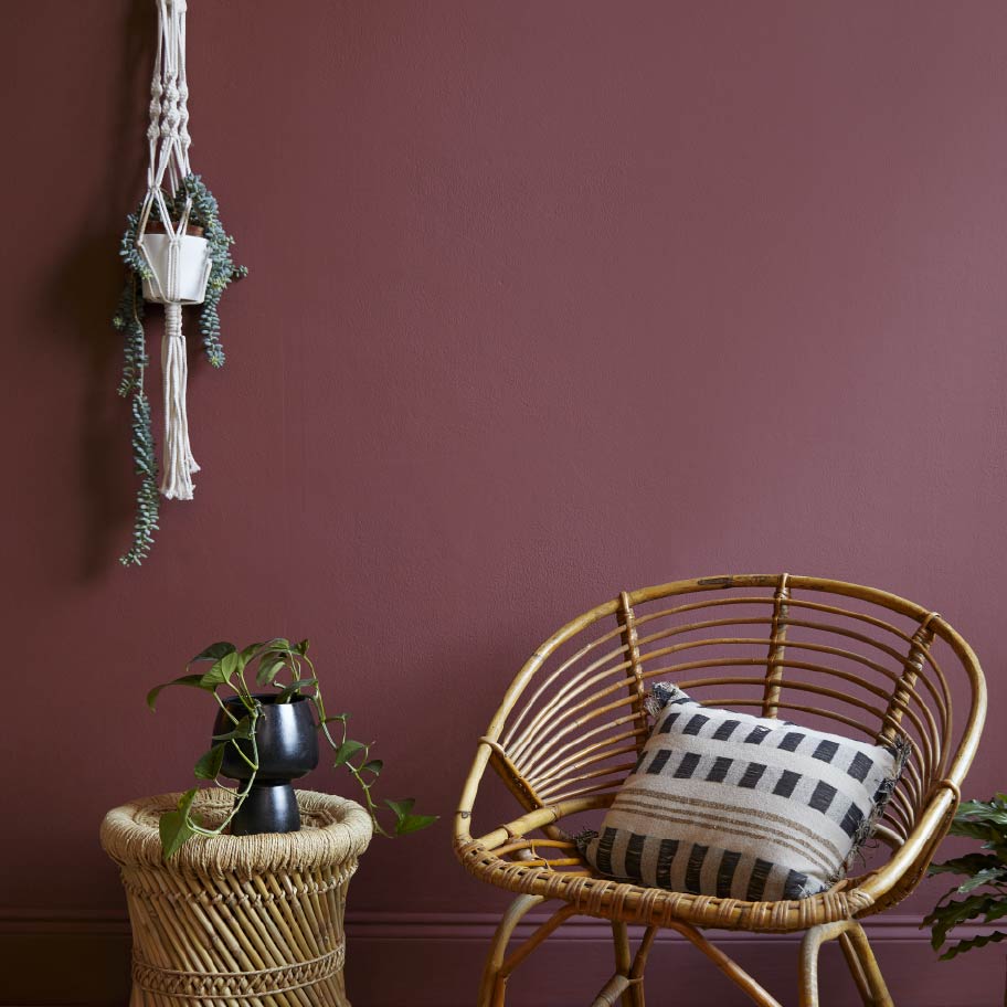 Lady Bug - Lifestyle