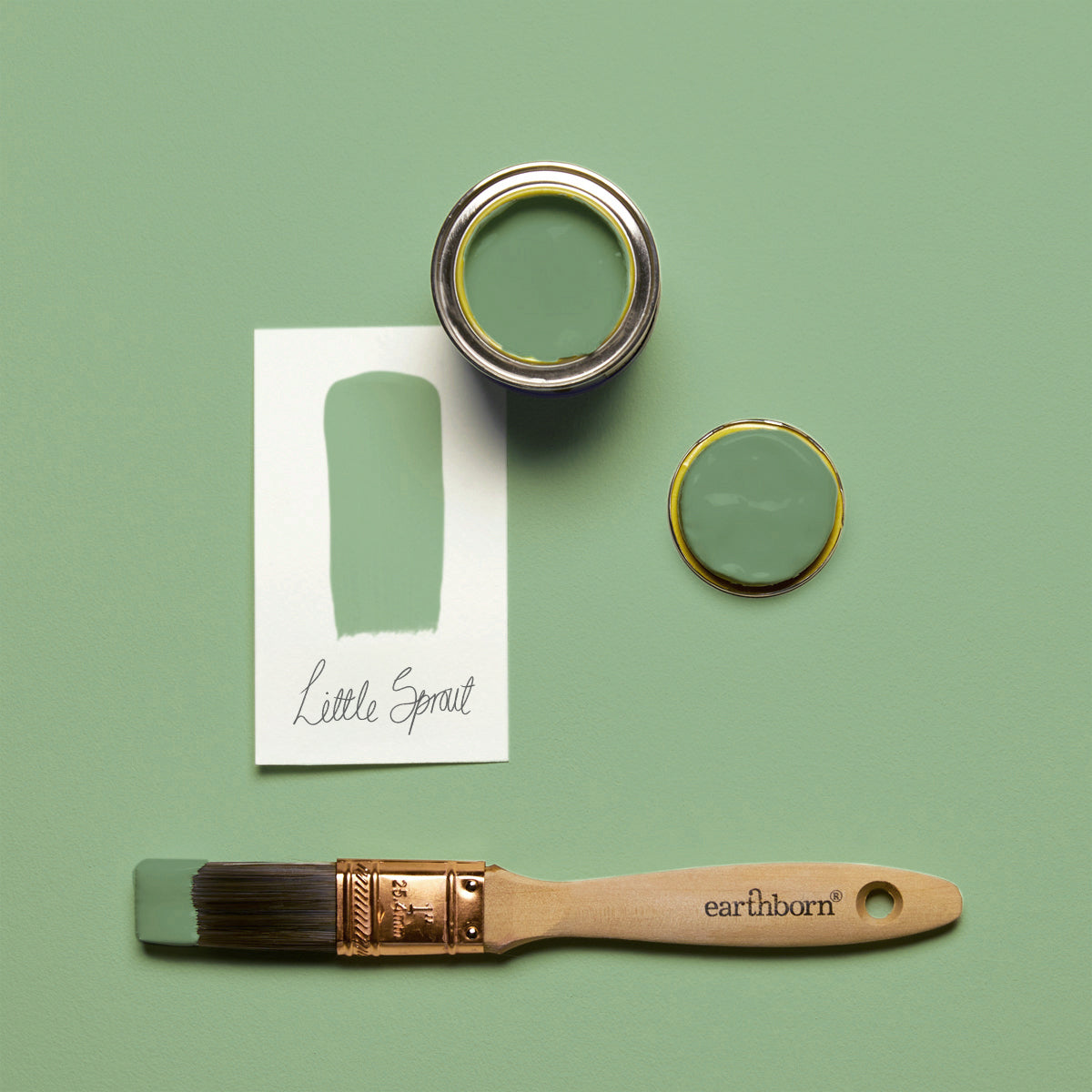 Little Sprout - Lifestyle