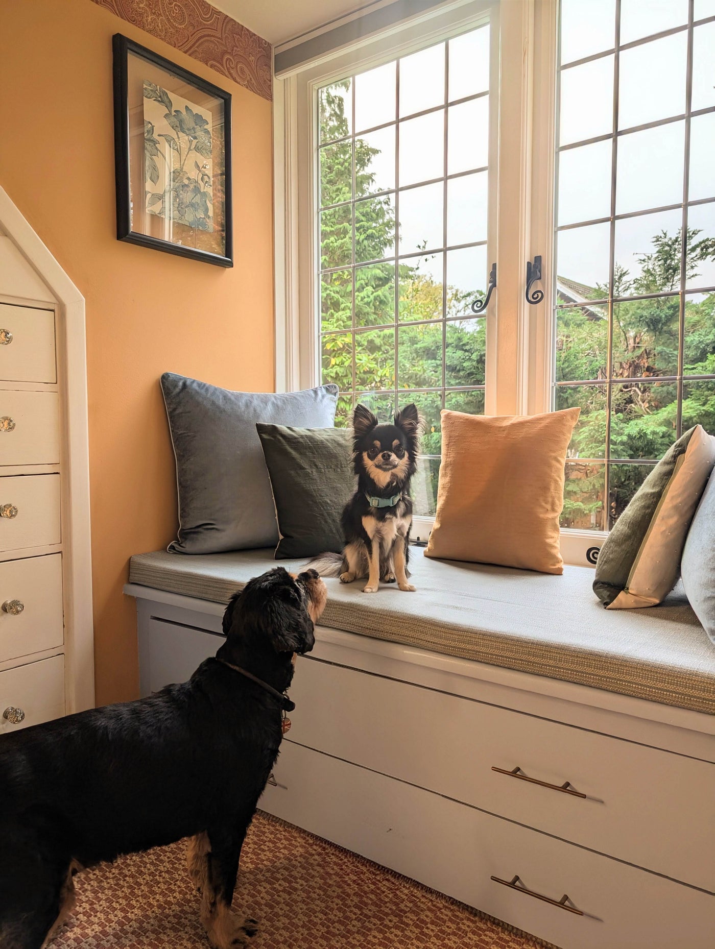 Two dogs on a window seat with cushions in a room with a large window.