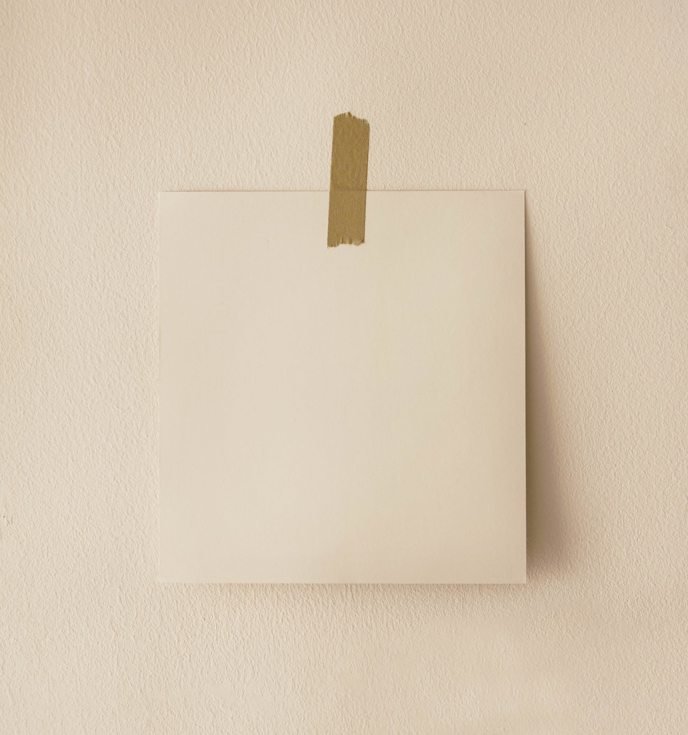 Maybe Maggie - Lifestyle