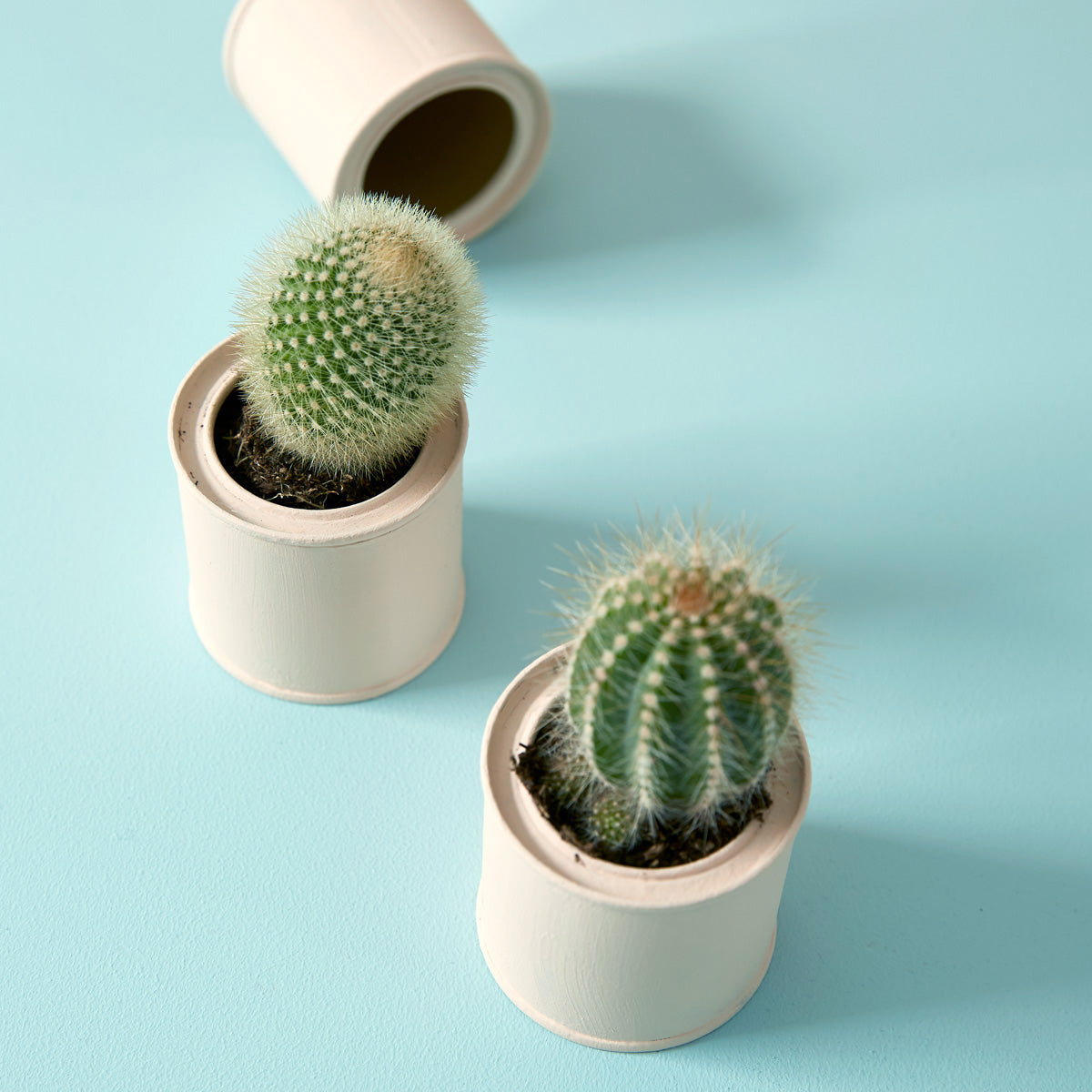 Milk Jug - Eggshell No. 17