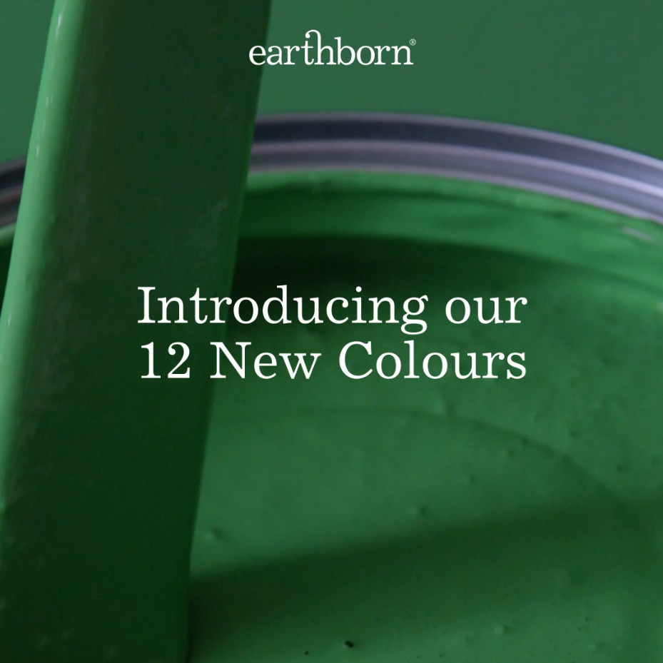 Eco Friendly Paint & Breathable Claypaint | Earthborn