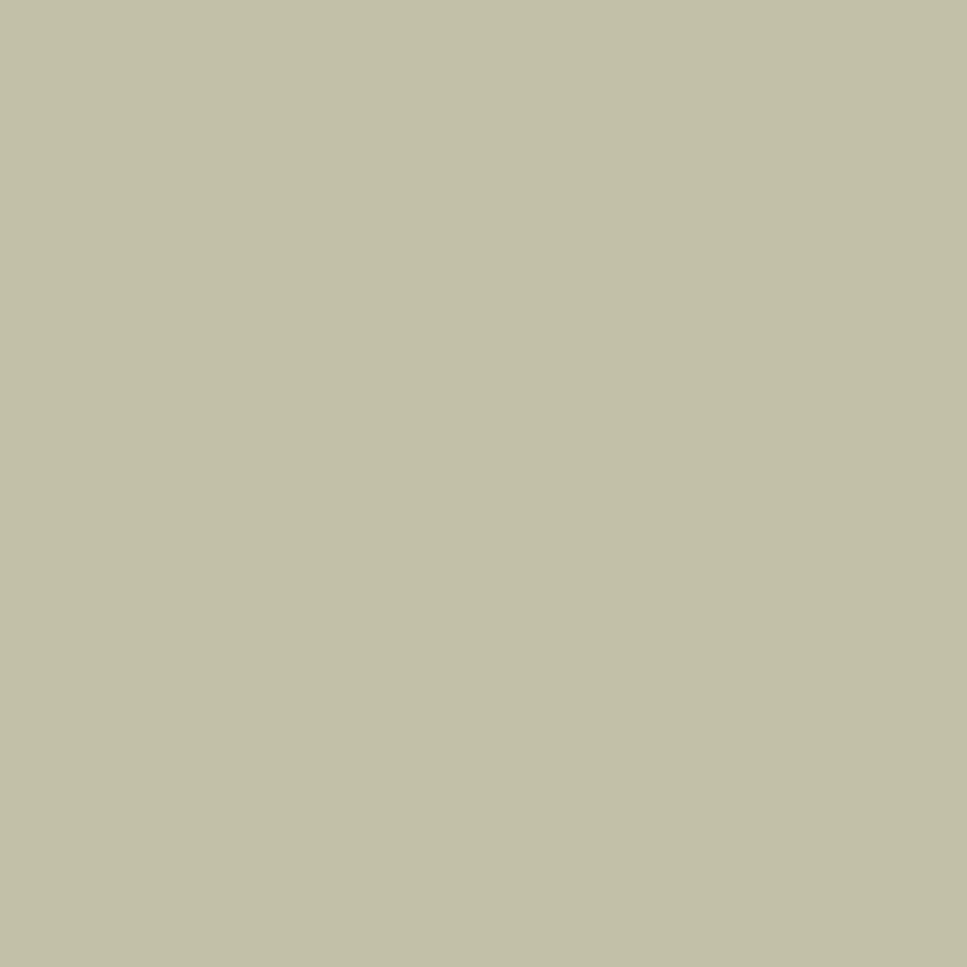 Bee Unique - Silicate Masonry Paint - SM2, 5L
