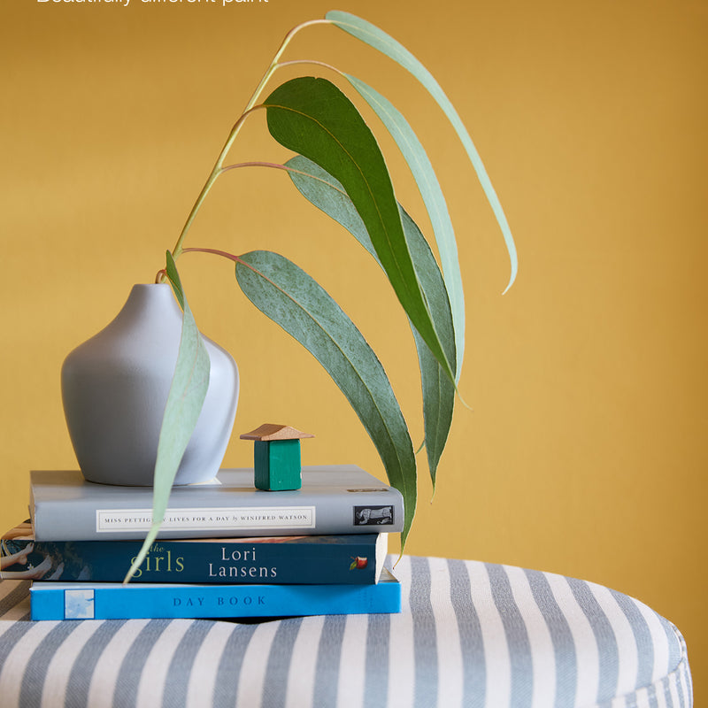 2026 New Colours website assets