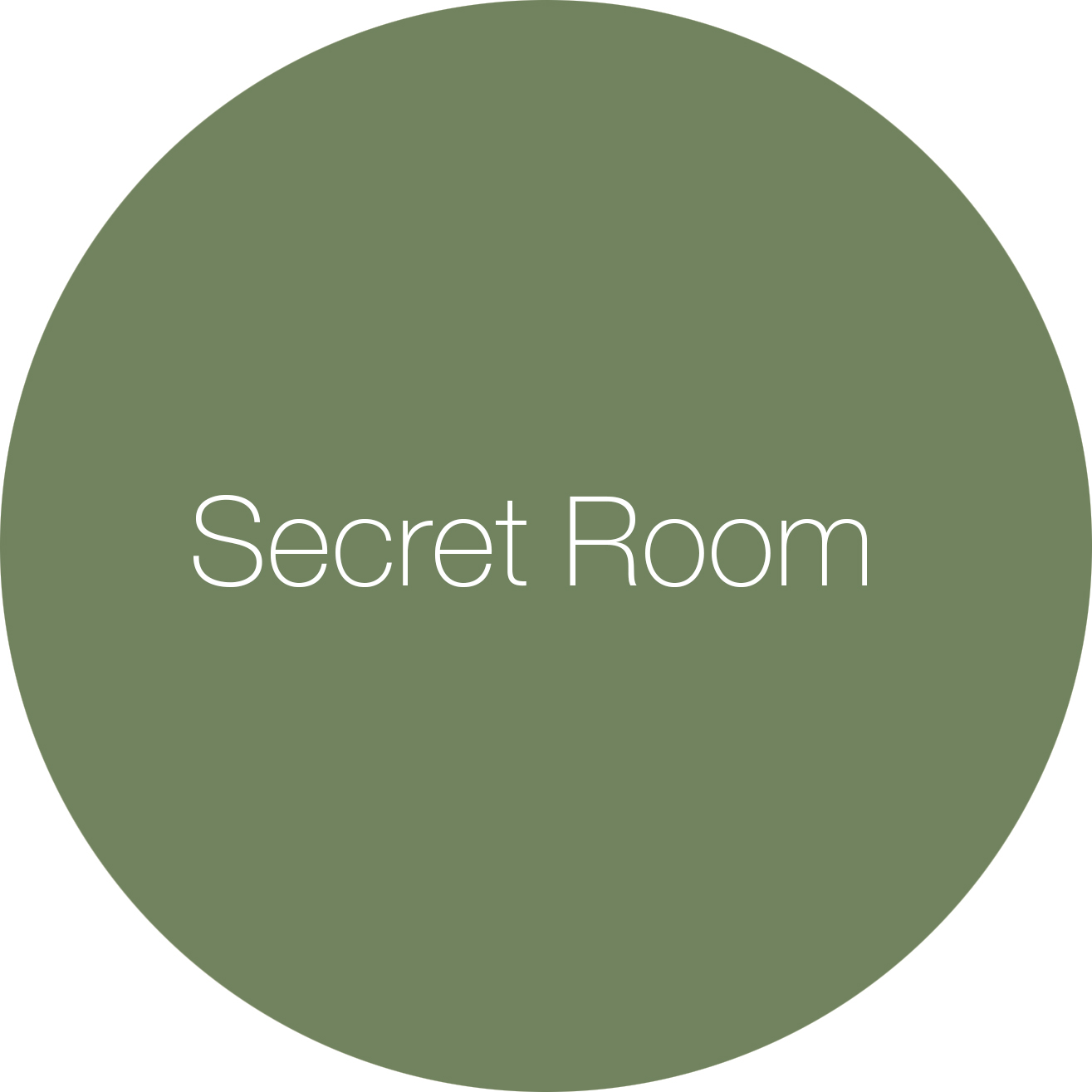 Secret Room by Earthborn