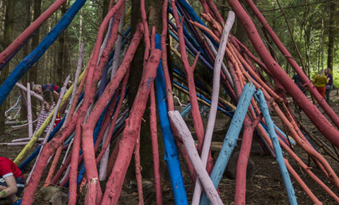 Rainbow den in the forest.