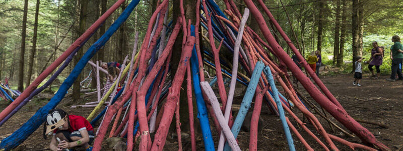 Rainbow den in the forest.