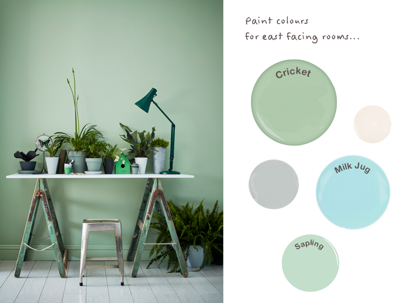 Green and blue paint colours like Earthborn Sapling and Cricket work well in East facing rooms