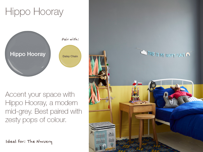 Earthborn Hippo Hooray is a brand new eco paint colour for 2019. A modern mid-grey.