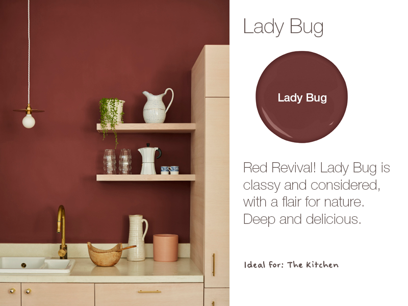 Earthborn Lady Bug is a brand new eco paint colour for 2019. Deep and delicious.