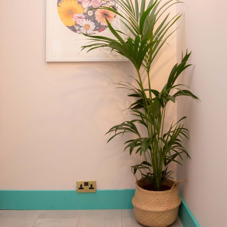 Kitchen with Piglet walls and The Lido skirting