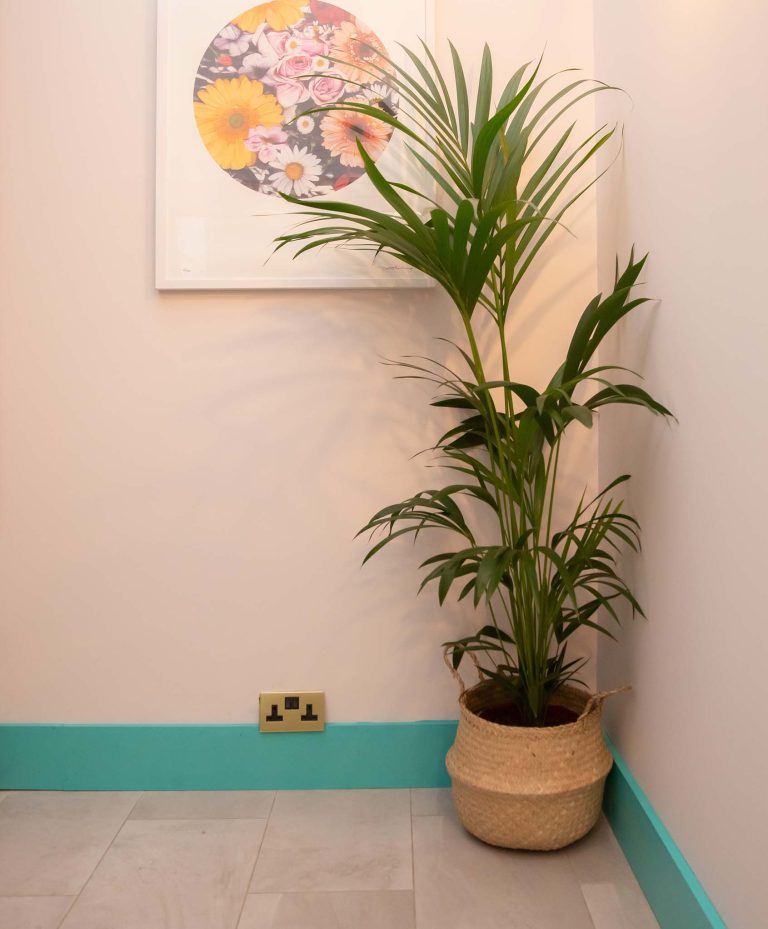 Kitchen with Piglet walls and The Lido skirting