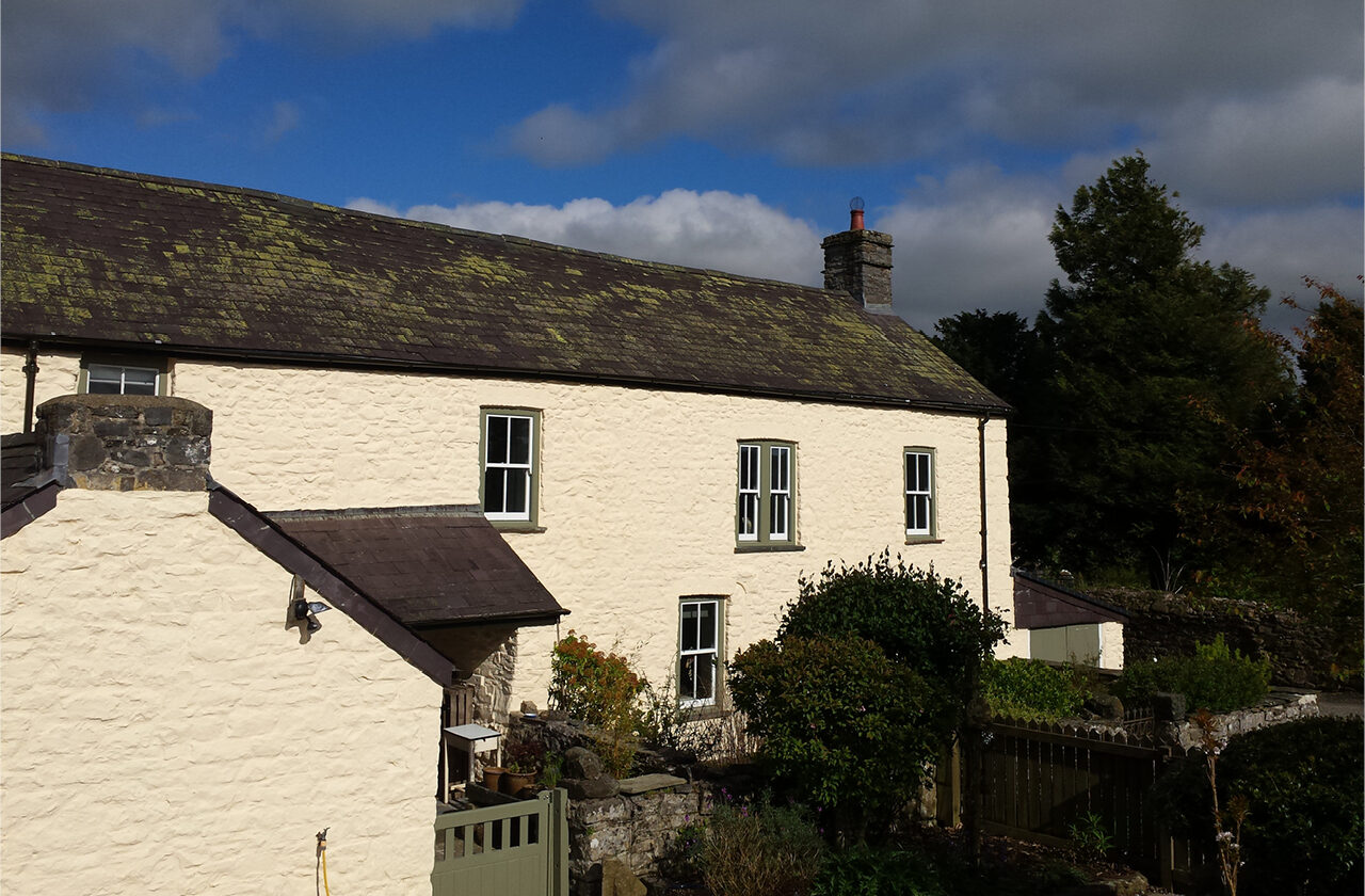 Earthborn Ecopro Silicate Masonry Paint ft. Honeycomb