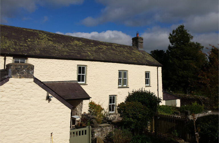 Earthborn Ecopro Silicate Masonry Paint ft. Honeycomb