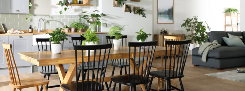 Open plan kitchen and lounge with greenery.