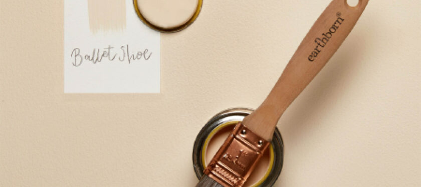 Brush shot Ballet Shoe