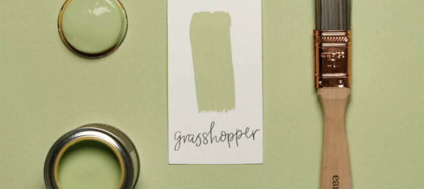 Brush shot Grasshopper