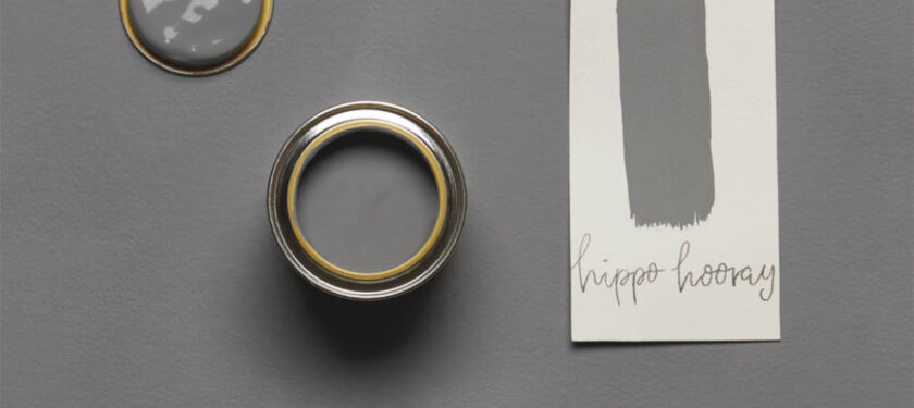 Brush shot Hippo Hooray