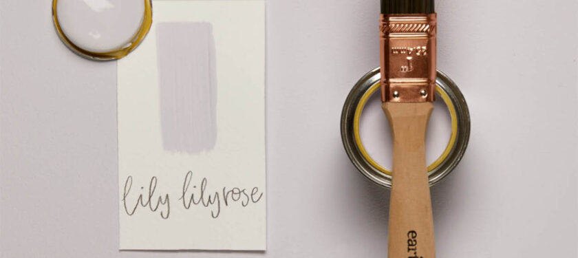 Brush shot Lily Lily Rose