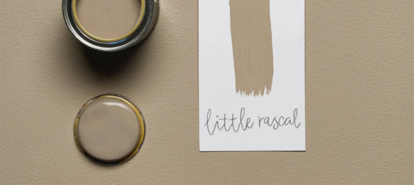 Brush shot Little Rascal