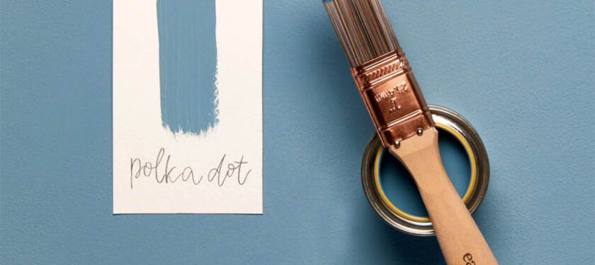 Brush shot Polka Dot