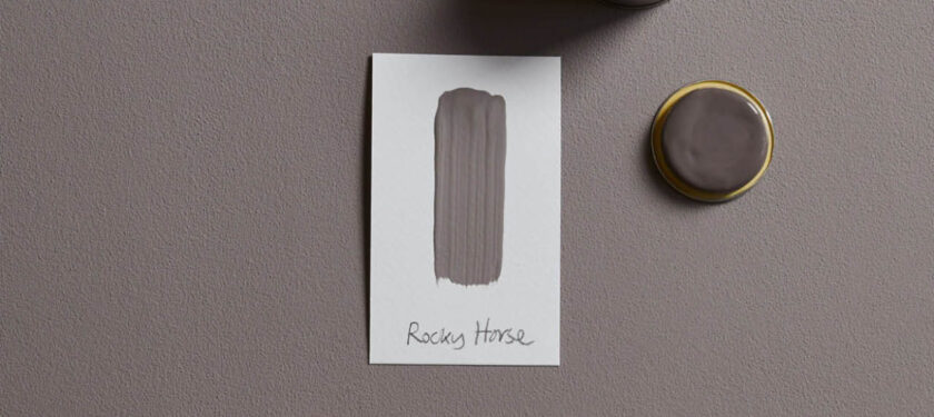 Brush shot Rocky Horse