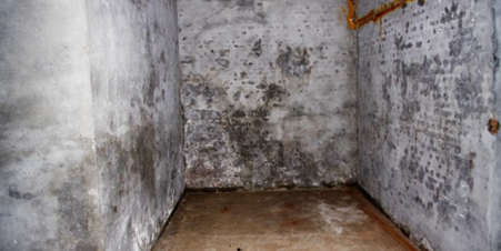 Earthborn blog paint for damp cellars 2