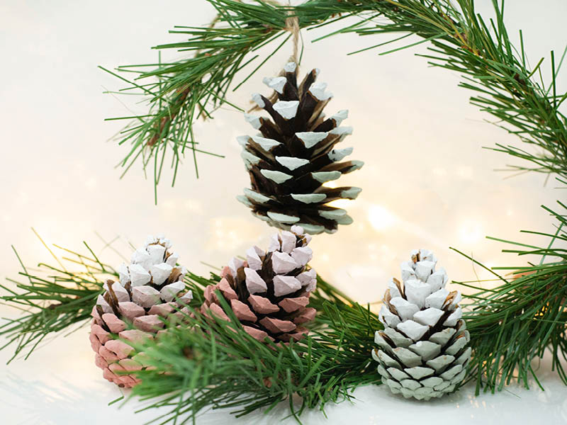 Ombre pine cones using Claypaint colours Ladybug, Rosie Posie, Sunday Stroll and Woodsmoke