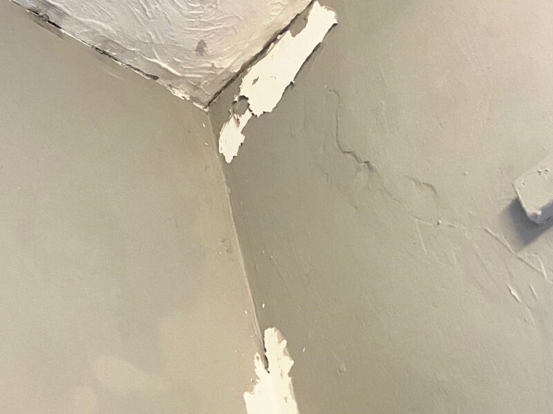 Why is my paint bubbling and peeling? Earthborn Paints