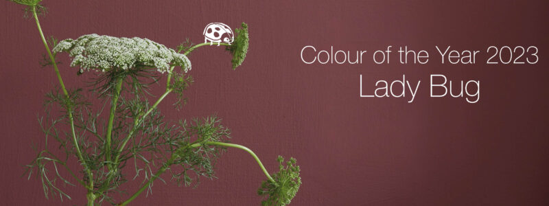 Colour of the Year 2023 - Lady Bug.