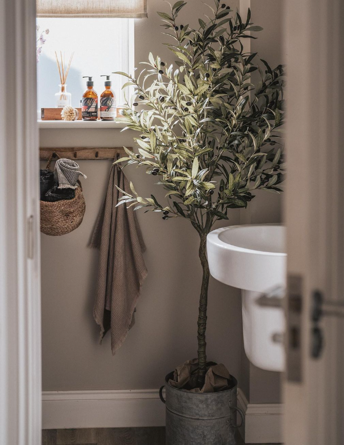 Olive tree in a bathroom next to the sink.