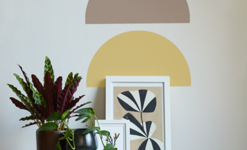 A table displaying framed art, books and two pot plants with two half circles painted on the wall.