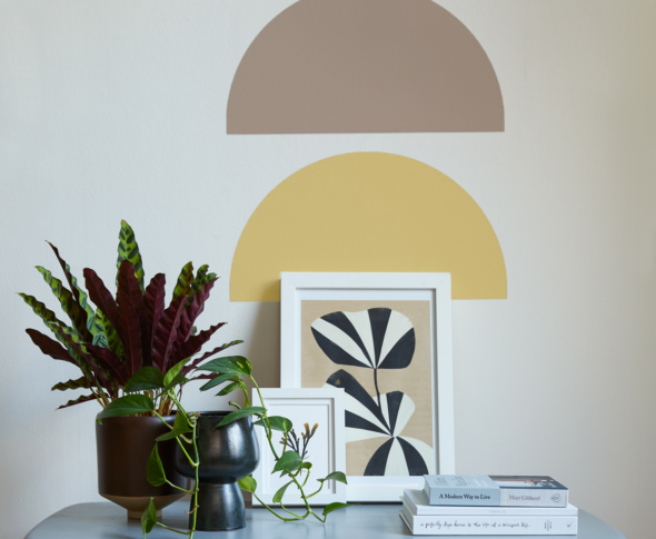 A table displaying framed art, books and two pot plants with two half circles painted on the wall.